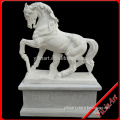 white stone horse statue, garden horse, outdoor stone horse statue